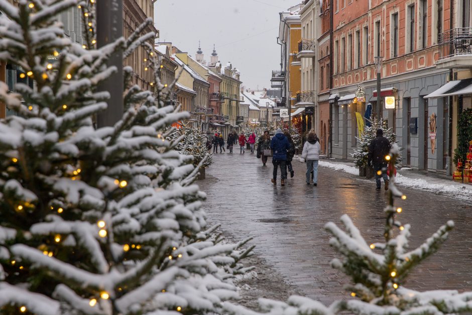 Vilniaus gatvė: ar ne per anksti liejasi kritika?