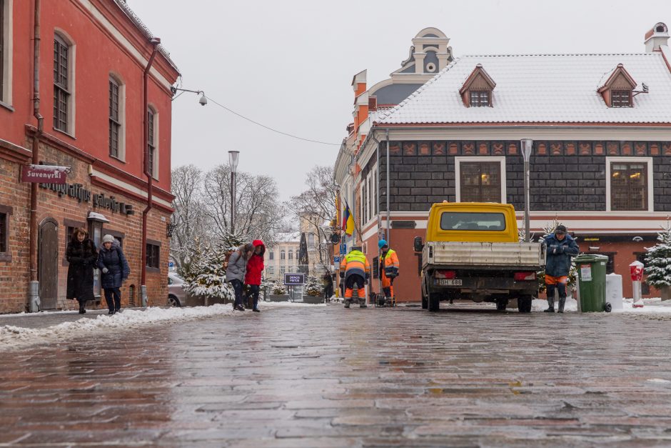 Vilniaus gatvė: ar ne per anksti liejasi kritika?