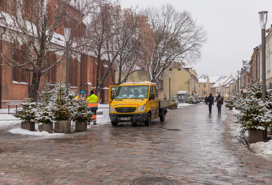 Vilniaus gatvė: ar ne per anksti liejasi kritika?