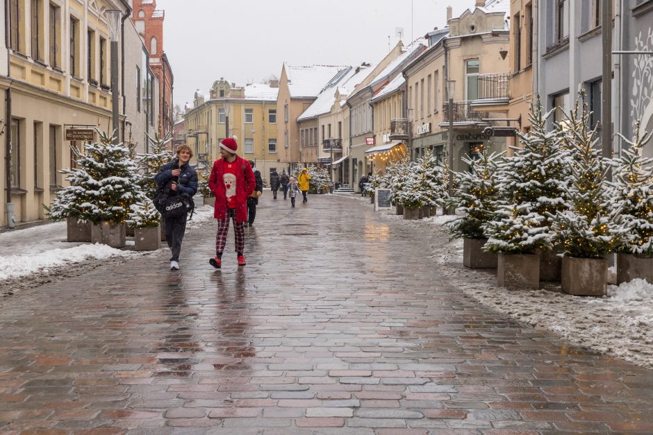 Vilniaus gatvė: ar ne per anksti liejasi kritika?