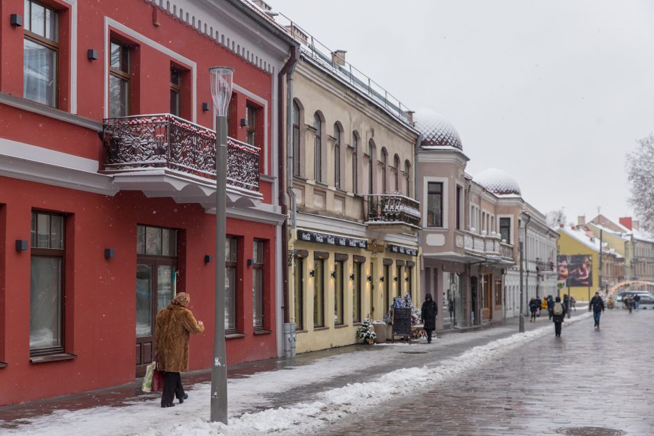 Vilniaus gatvė: ar ne per anksti liejasi kritika?