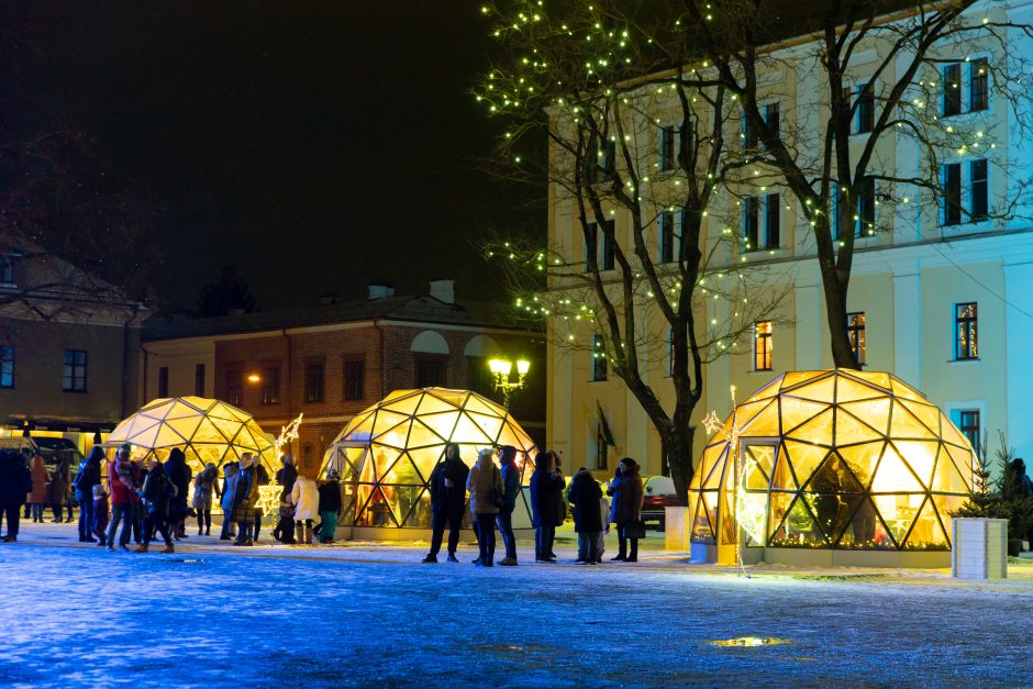 Kauniečiai atsisveikina su Kalėdų egle (nuotraukų galerija)