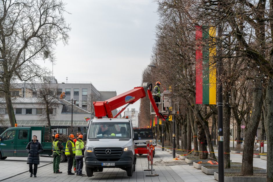 Laisvės alėjoje kertamos liepos traukia praeivių dėmesį