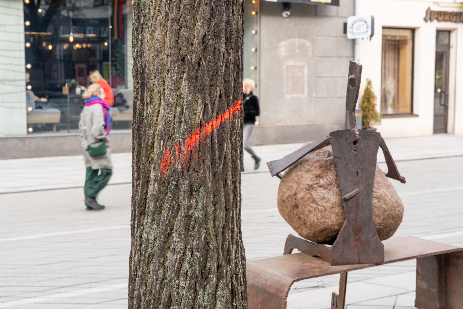 Laisvės alėjoje kertamos liepos traukia praeivių dėmesį