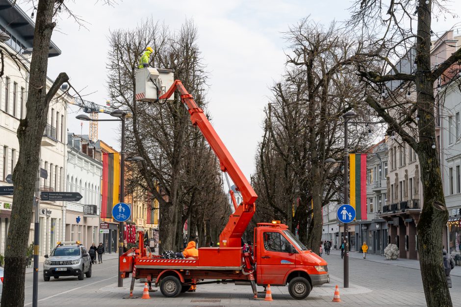 Laisvės alėjoje kertamos liepos traukia praeivių dėmesį