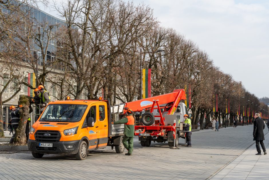 Laisvės alėjoje kertamos liepos traukia praeivių dėmesį