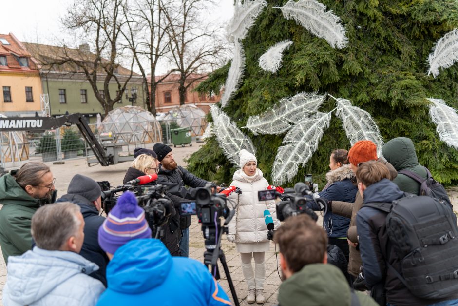 Kauno eglė jau pasirodė visu gražumu: ką mano miestiečiai?