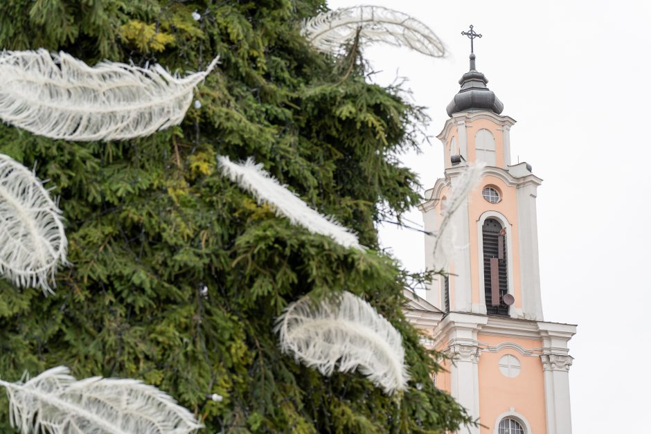 Kauno eglė jau pasirodė visu gražumu: ką mano miestiečiai?