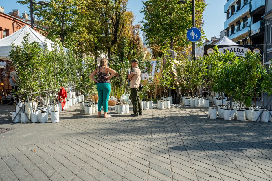 Mugės savaitgalis: Laisvės alėją užtvindė pramogos ir naujas derlius