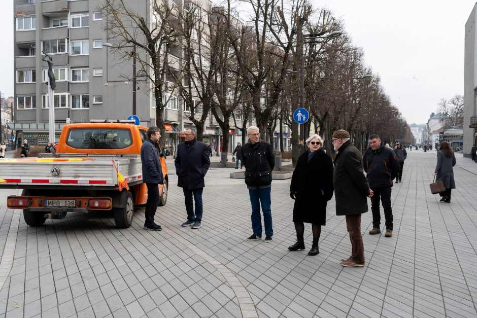 Laisvės alėjoje pradėtos sodinti liepos: Vokietijoje jos augintos apie 20 metų