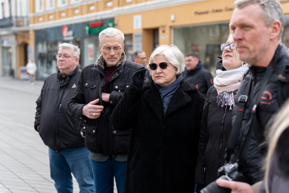 Laisvės alėjoje pradėtos sodinti liepos: Vokietijoje jos augintos apie 20 metų