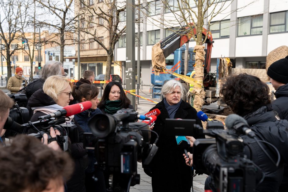 Laisvės alėjoje pradėtos sodinti liepos: Vokietijoje jos augintos apie 20 metų