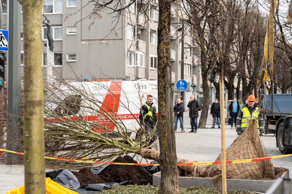 Darbo inspekcija dėl incidento Laisvės alėjoje pradėjo tyrimą: įžvelgia pažeidimų