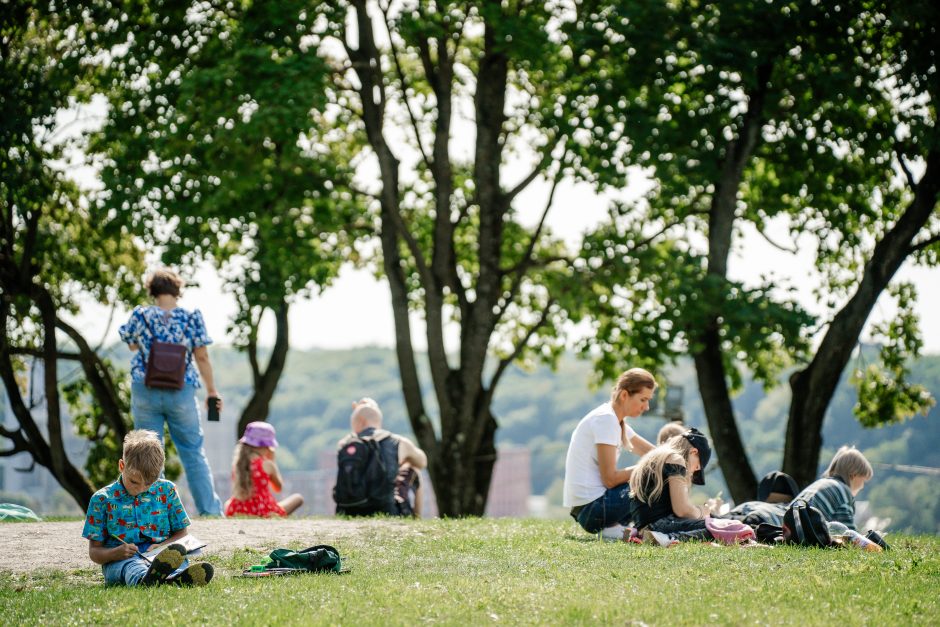 „Meno piknike“ – Robino Hudo strėlės, kaleidoskopas Kaunui ir odiniai paršiukai