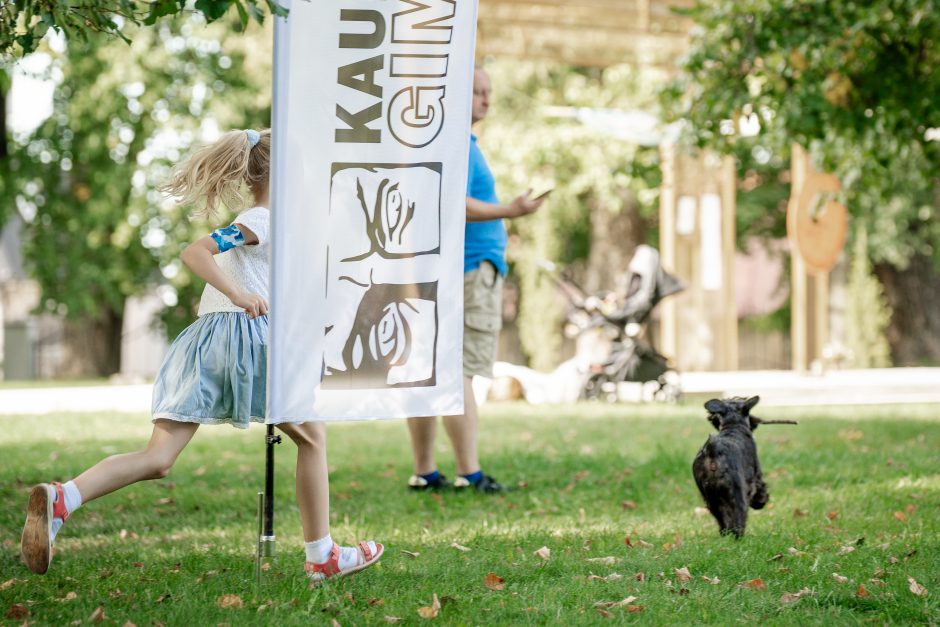 „Meno piknike“ – Robino Hudo strėlės, kaleidoskopas Kaunui ir odiniai paršiukai