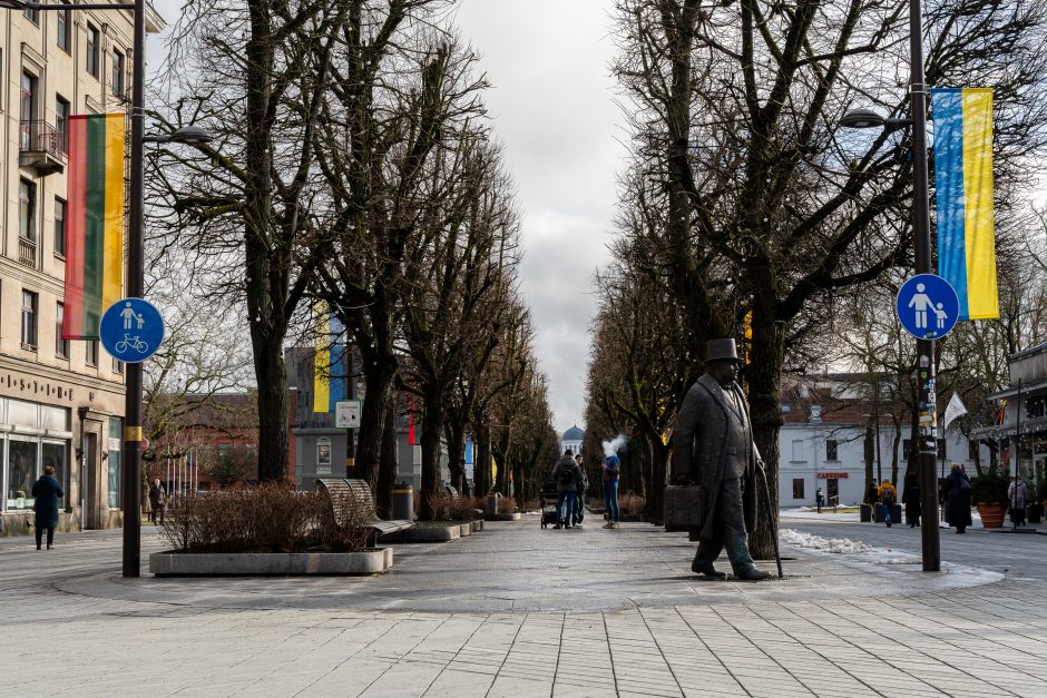 Kaunas siunčia palaikymo žinutę Ukrainai: artėjant karo metinėms Laisvės alėjoje suplazdėjo vėliavos