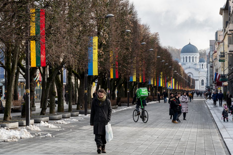 Kaunas siunčia palaikymo žinutę Ukrainai: artėjant karo metinėms Laisvės alėjoje suplazdėjo vėliavos