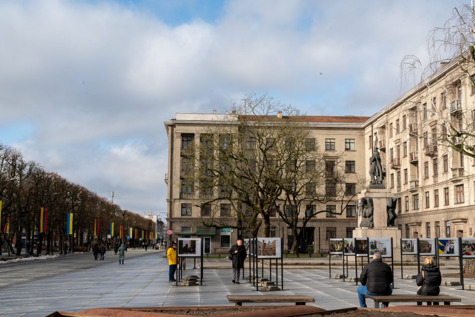 Kaunas siunčia palaikymo žinutę Ukrainai: artėjant karo metinėms Laisvės alėjoje suplazdėjo vėliavos