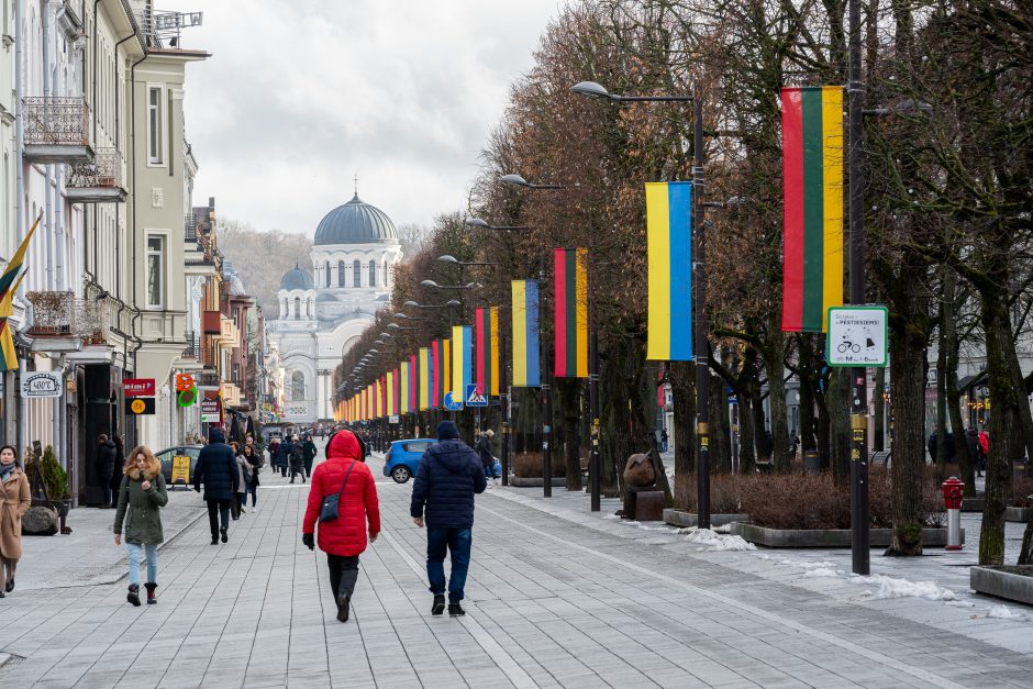 Kaunas siunčia palaikymo žinutę Ukrainai: artėjant karo metinėms Laisvės alėjoje suplazdėjo vėliavos