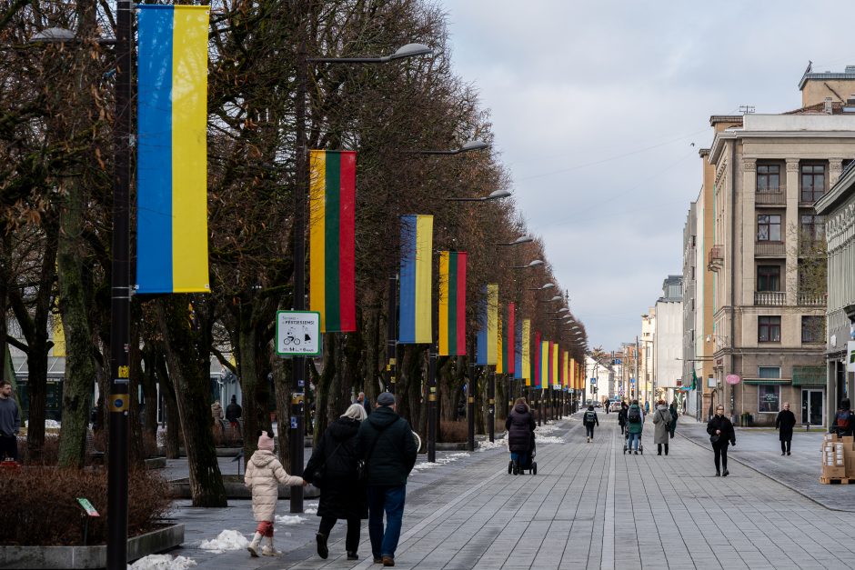 Kaunas siunčia palaikymo žinutę Ukrainai: artėjant karo metinėms Laisvės alėjoje suplazdėjo vėliavos