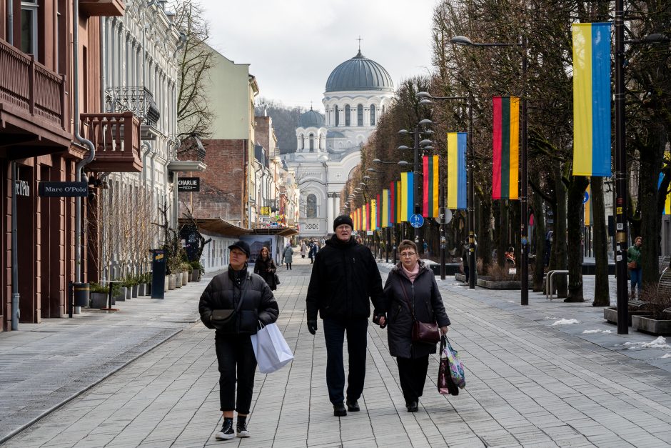 Kaunas siunčia palaikymo žinutę Ukrainai: artėjant karo metinėms Laisvės alėjoje suplazdėjo vėliavos