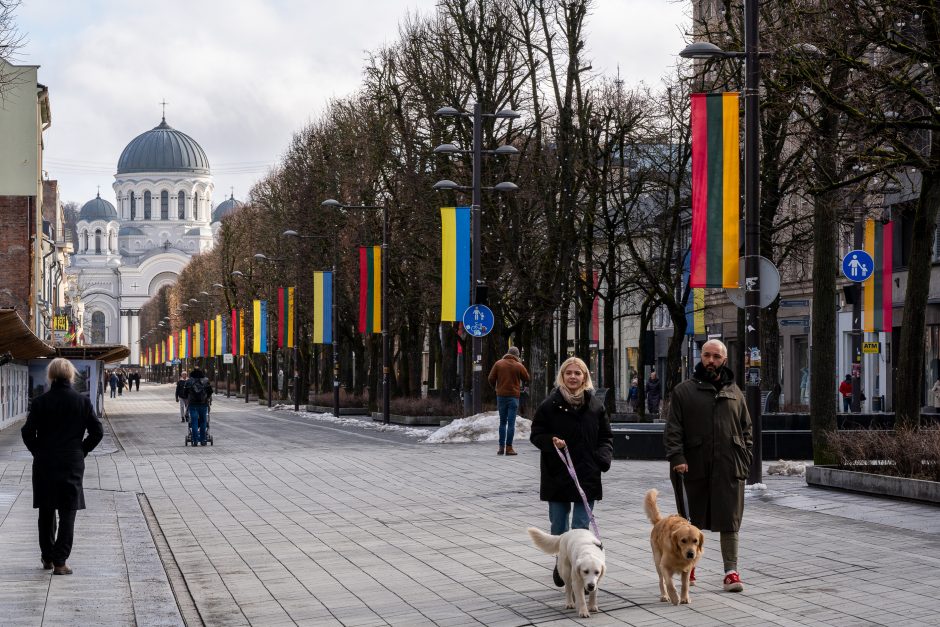 Kaunas siunčia palaikymo žinutę Ukrainai: artėjant karo metinėms Laisvės alėjoje suplazdėjo vėliavos