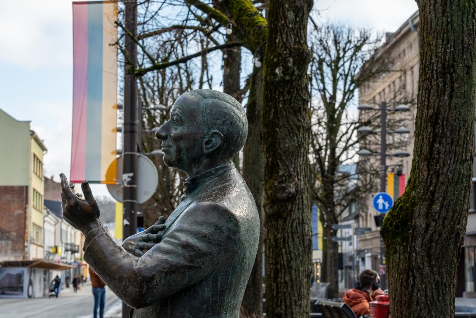 Kaunas siunčia palaikymo žinutę Ukrainai: artėjant karo metinėms Laisvės alėjoje suplazdėjo vėliavos