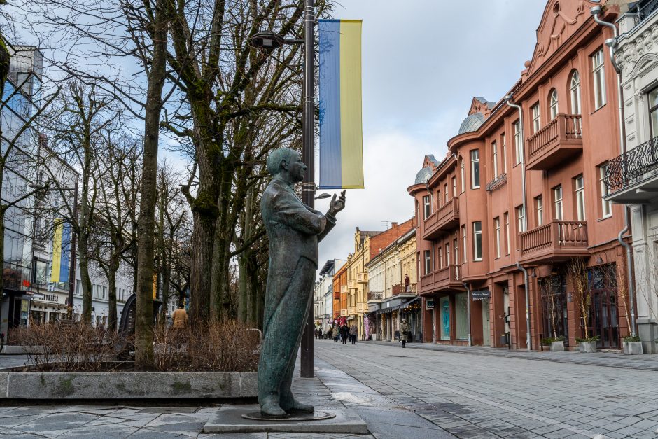 Kaunas siunčia palaikymo žinutę Ukrainai: artėjant karo metinėms Laisvės alėjoje suplazdėjo vėliavos