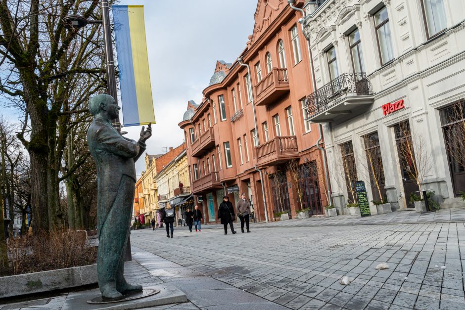 Kaunas siunčia palaikymo žinutę Ukrainai: artėjant karo metinėms Laisvės alėjoje suplazdėjo vėliavos