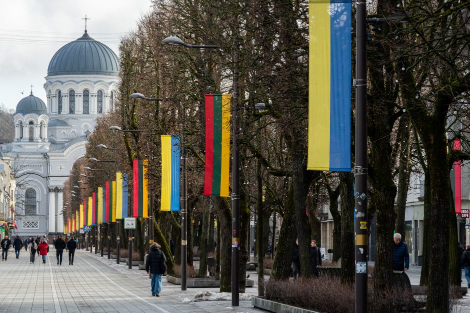 Kaunas siunčia palaikymo žinutę Ukrainai: artėjant karo metinėms Laisvės alėjoje suplazdėjo vėliavos