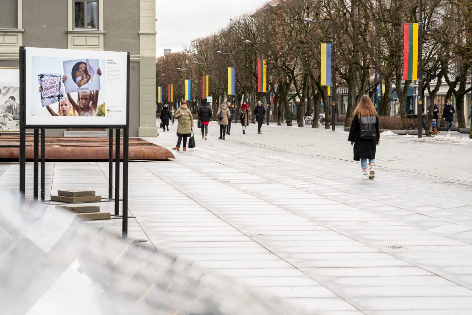 Kaunas siunčia palaikymo žinutę Ukrainai: artėjant karo metinėms Laisvės alėjoje suplazdėjo vėliavos