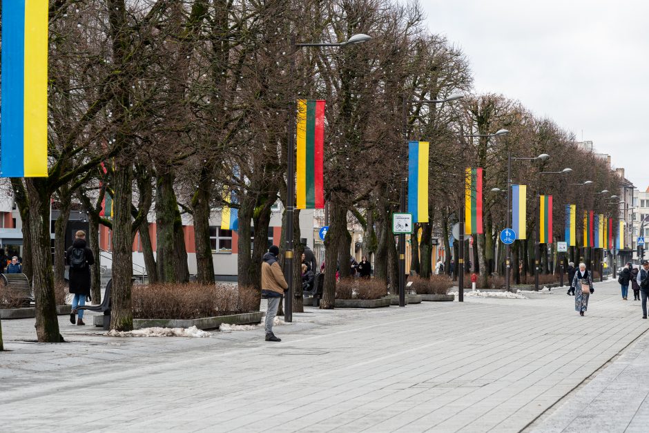 Kaunas siunčia palaikymo žinutę Ukrainai: artėjant karo metinėms Laisvės alėjoje suplazdėjo vėliavos