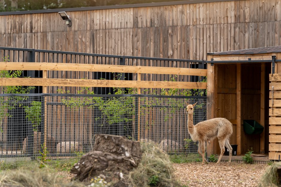 Lietuvos zoologijos sodo gimtadienis