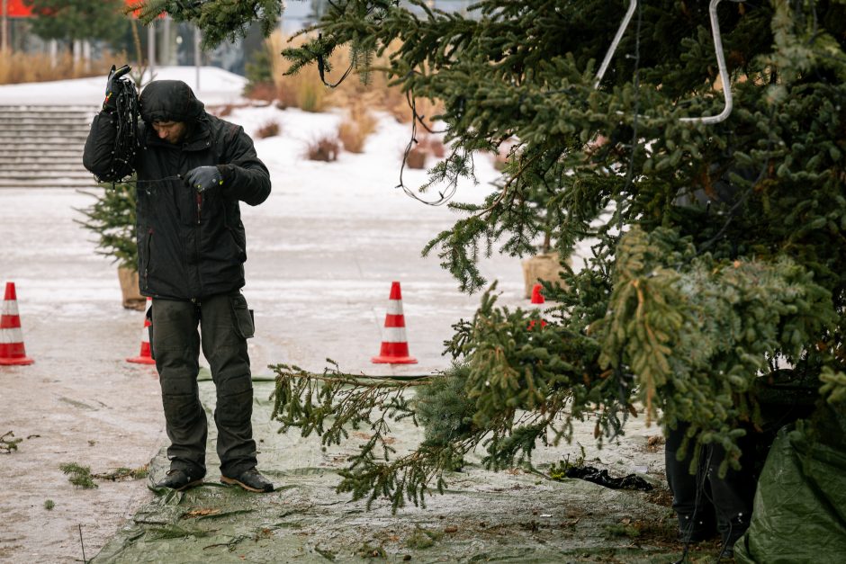 Kaunas atsisveikina su Kalėdomis: nuo pagrindinės eglės nupuošiami žaisliukai