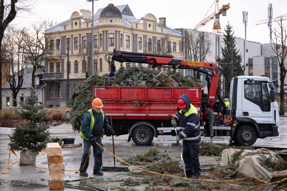 Nupuošta Kauno kalėdinė eglė – jau nebe gražuolė