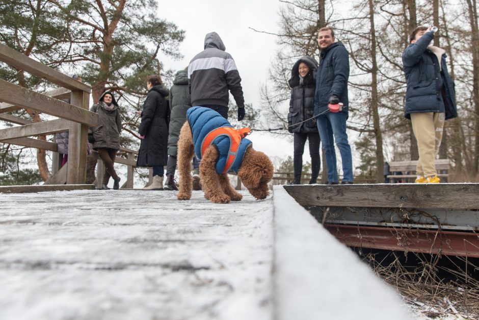 Kviečia į oficialų Kadagių slėnio atidarymą: bus ir trumpa ekskursija