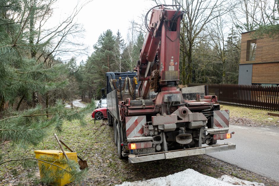 Gyventojai stoja prieš nelegalų medžių kirtimą rekreaciniame miške: pjauna viską 