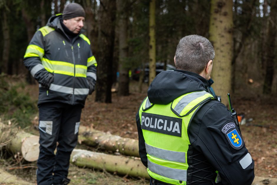 Gyventojai stoja prieš nelegalų medžių kirtimą rekreaciniame miške: pjauna viską 