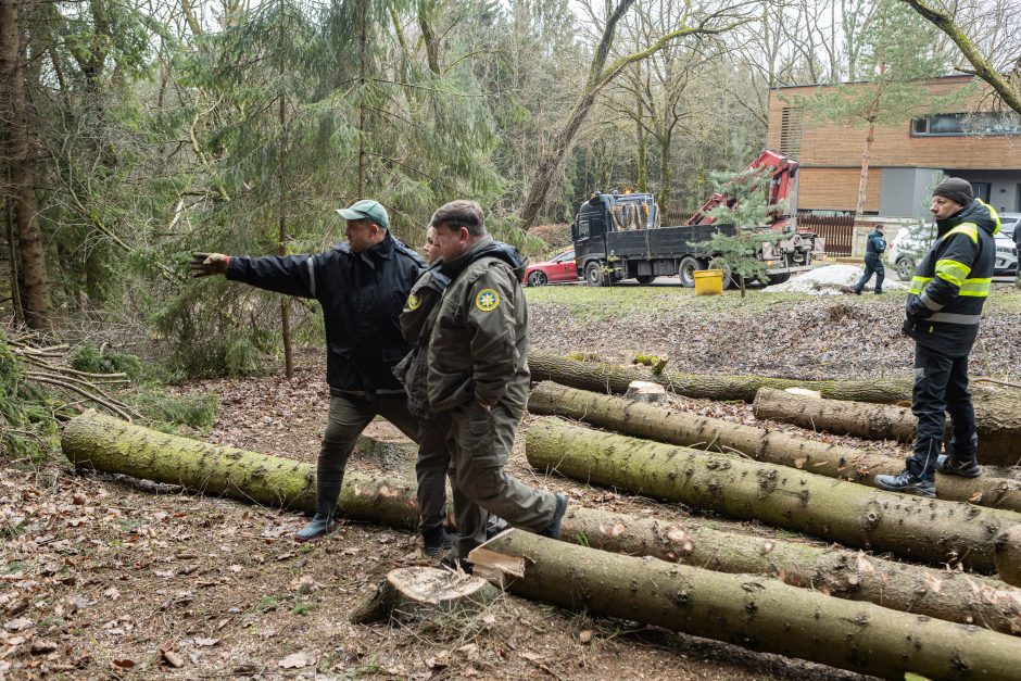 Gyventojai stoja prieš nelegalų medžių kirtimą rekreaciniame miške: pjauna viską 