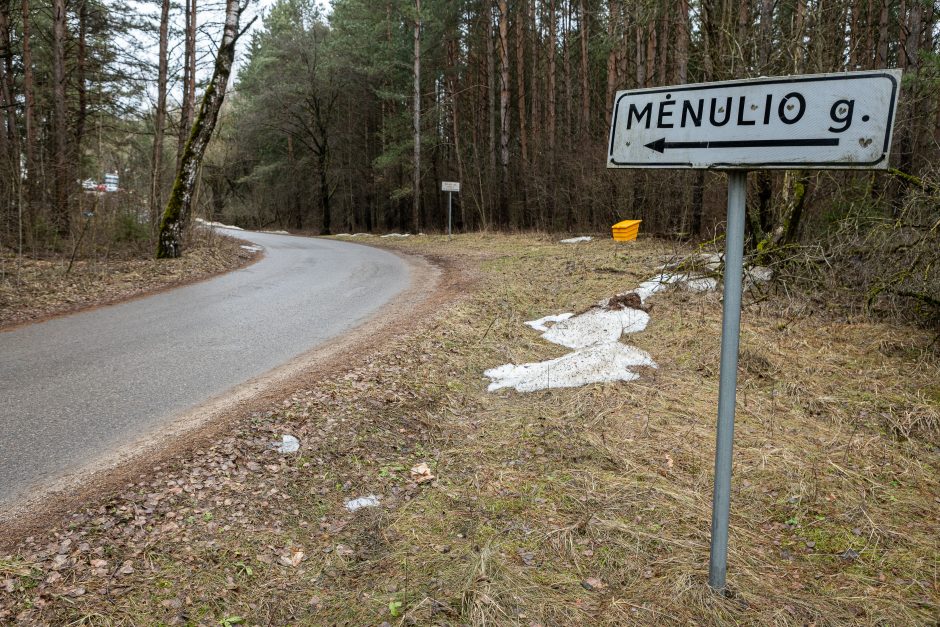 Gyventojai stoja prieš nelegalų medžių kirtimą rekreaciniame miške: pjauna viską 