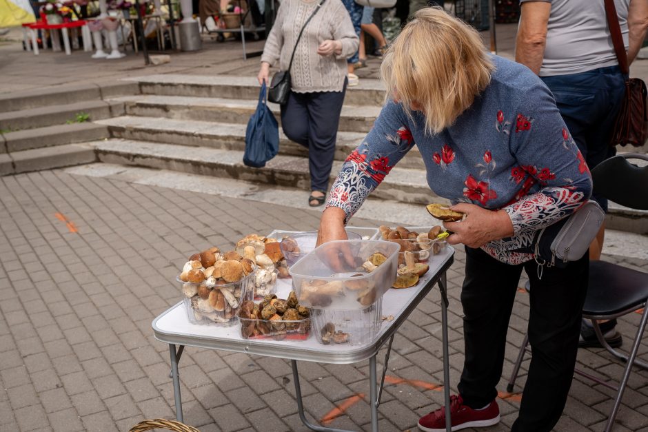 Kauno turgavietėse pridygo baravykų