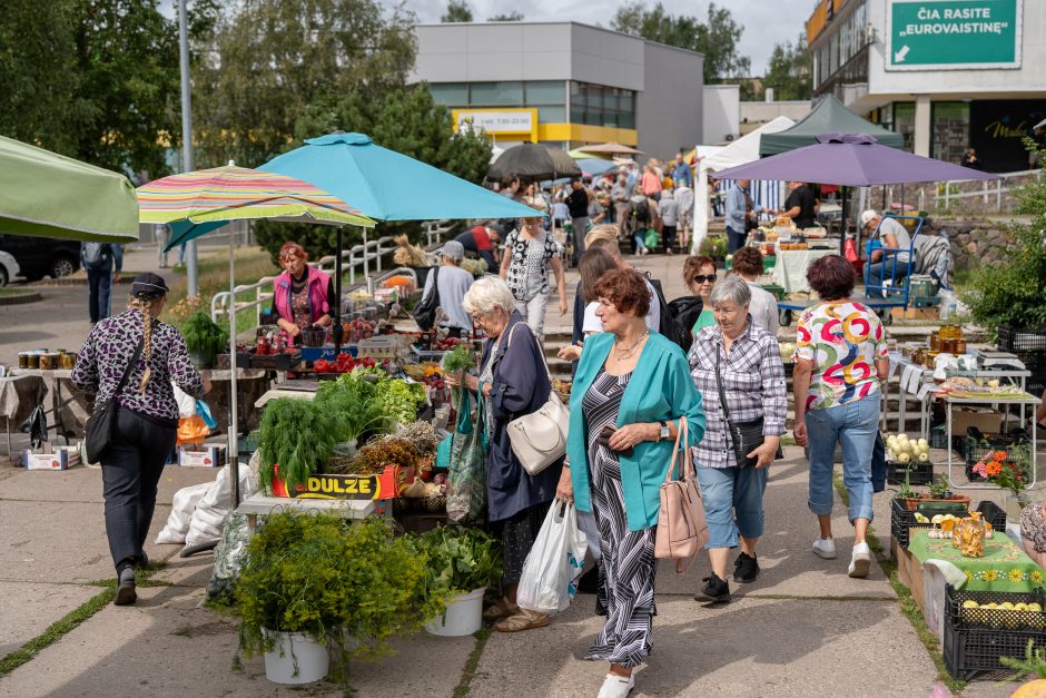 Kauno turgavietėse pridygo baravykų