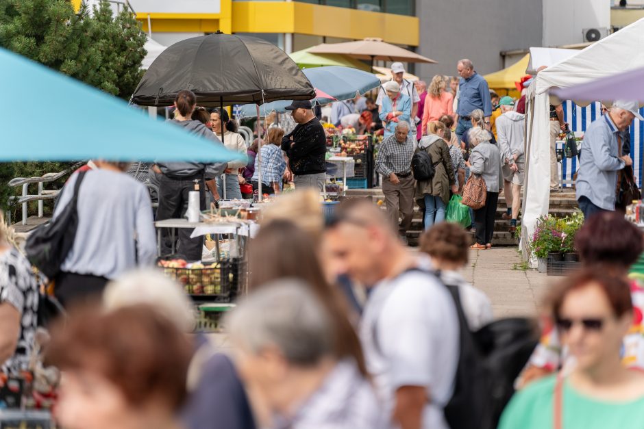 Kauno turgavietėse pridygo baravykų