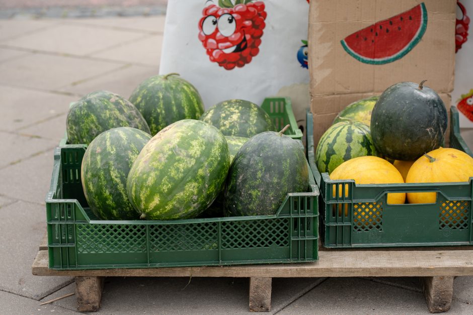 Kauno turgavietėse pridygo baravykų