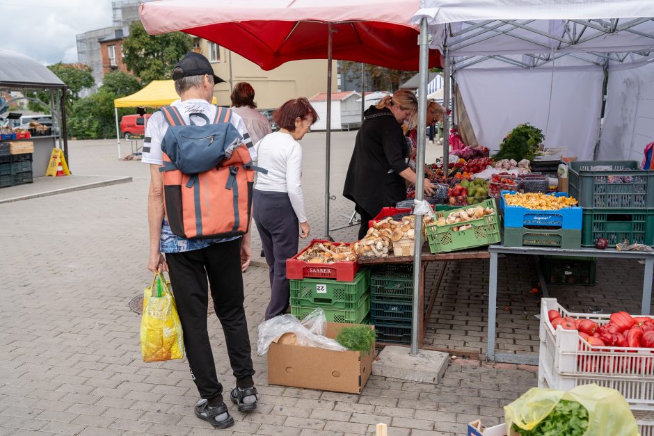 Kauno turgavietėse pridygo baravykų