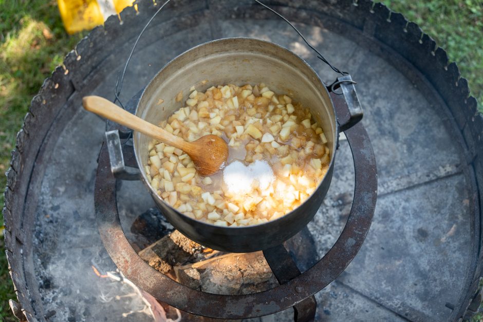 Žolinė Rumšiškėse: nuo pievų puokščių, iki kelionių laiku