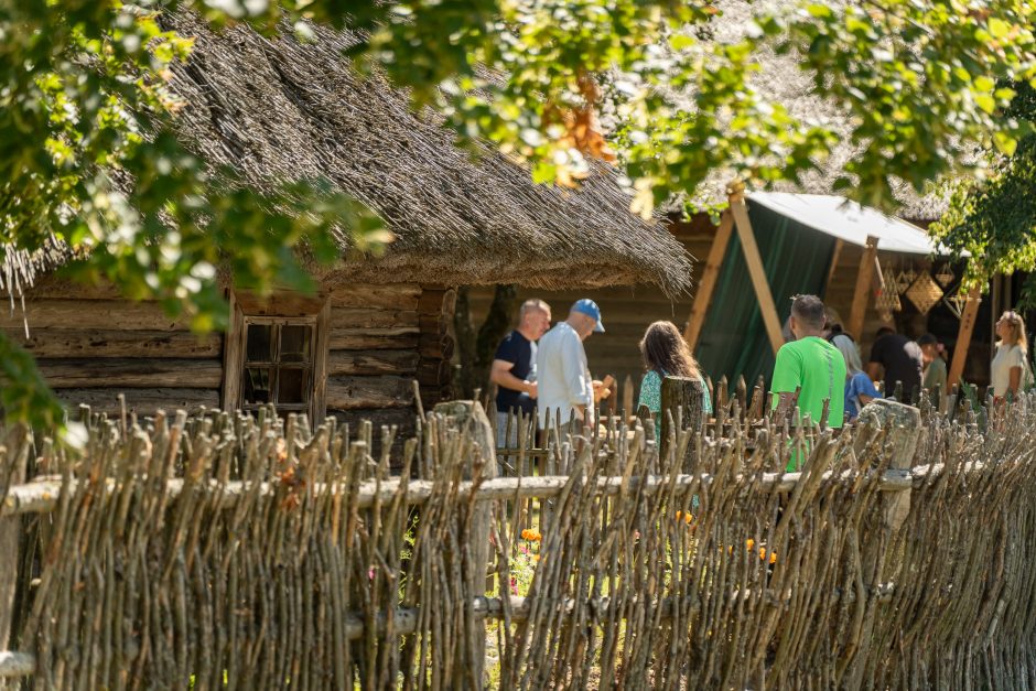 Žolinė Rumšiškėse: nuo pievų puokščių, iki kelionių laiku