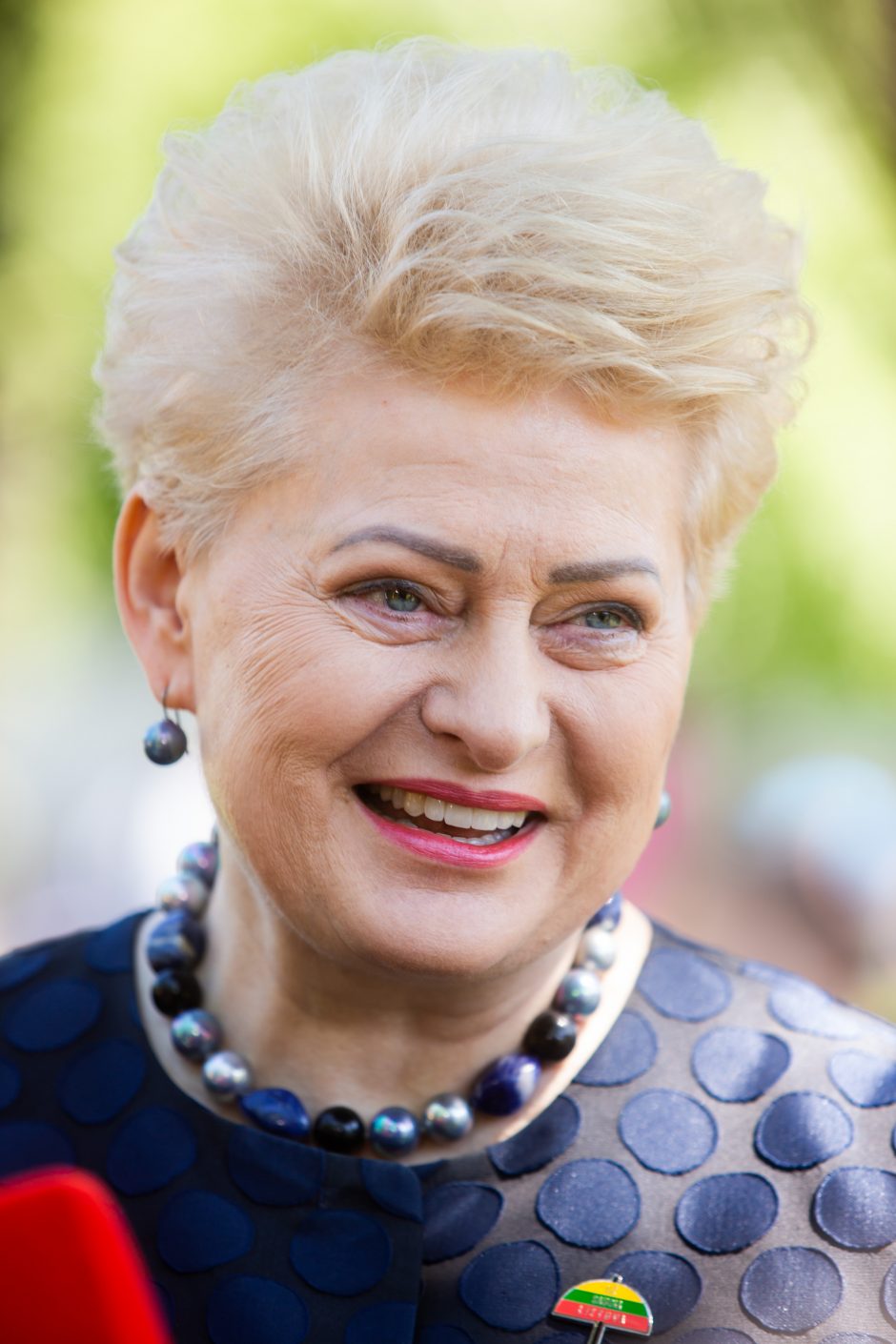 D. Grybauskaitė tikisi, kad naujas prezidentas tęs akciją „Už saugią Lietuvą“