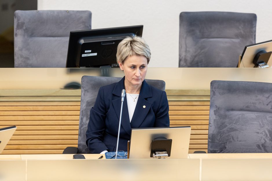 Premjerė apie tyrimą: Seimas negali atlikti Generalinės prokuratūros darbo