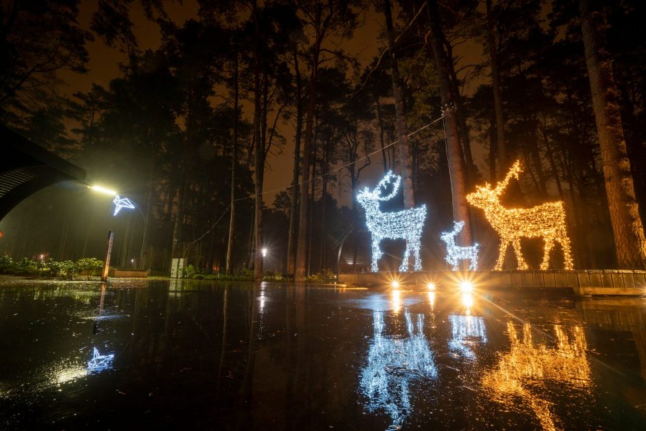 Druskininkai dovanoja saugias šeimos Kalėdas tarsi iš pasakos